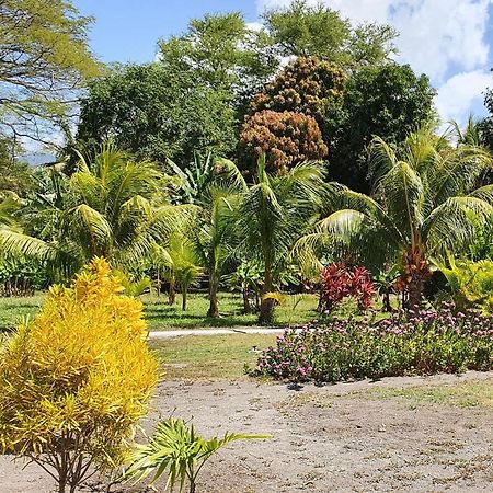 Rancho Tranquillo Pansiyon Moyogalpa Dış mekan fotoğraf