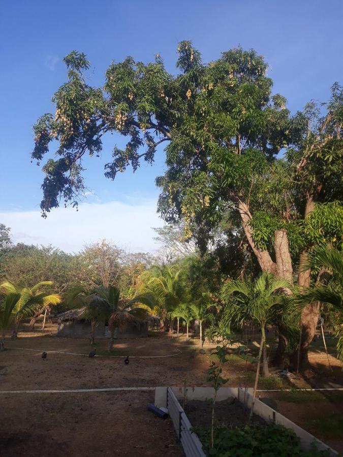 Rancho Tranquillo Pansiyon Moyogalpa Dış mekan fotoğraf