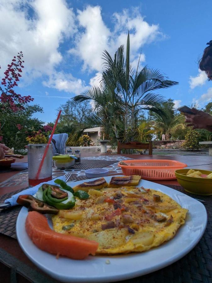 Rancho Tranquillo Pansiyon Moyogalpa Dış mekan fotoğraf