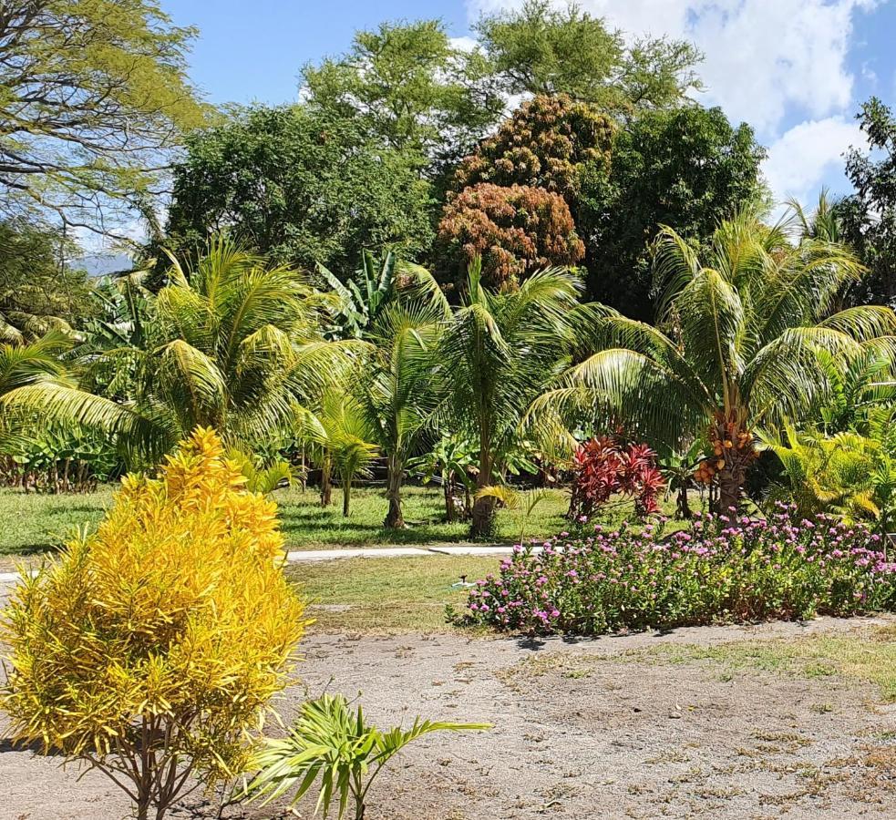 Rancho Tranquillo Pansiyon Moyogalpa Dış mekan fotoğraf
